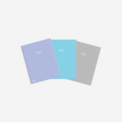 N COLLEGE NOTEBOOKS (3 PACK)